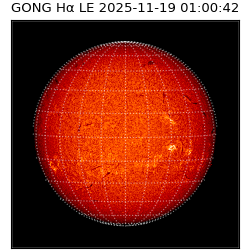 gong - 2025-11-19T01:00:42