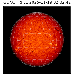 gong - 2025-11-19T02:02:42