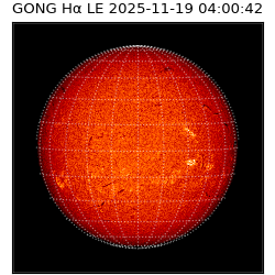 gong - 2025-11-19T04:00:42