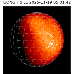 gong - 2025-11-19T05:01:42