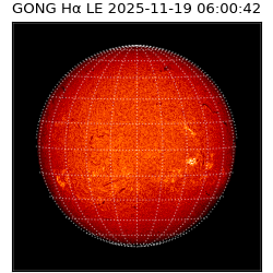 gong - 2025-11-19T06:00:42