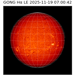 gong - 2025-11-19T07:00:42