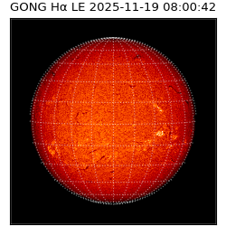 gong - 2025-11-19T08:00:42