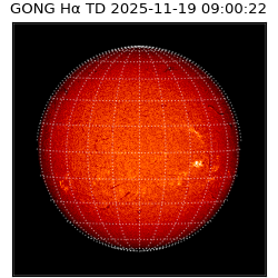 gong - 2025-11-19T09:00:22