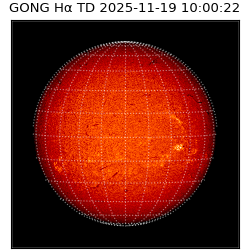 gong - 2025-11-19T10:00:22