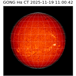 gong - 2025-11-19T11:00:42