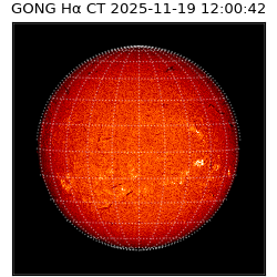 gong - 2025-11-19T12:00:42