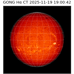gong - 2025-11-19T19:00:42