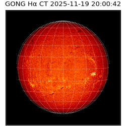 gong - 2025-11-19T20:00:42