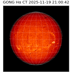gong - 2025-11-19T21:00:42