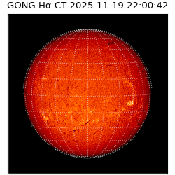 gong - 2025-11-19T22:00:42
