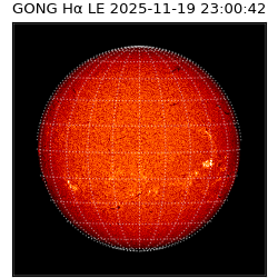 gong - 2025-11-19T23:00:42