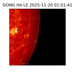 gong - 2025-11-20T01:01:42