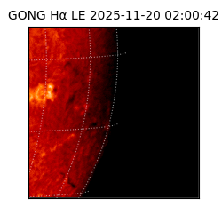 gong - 2025-11-20T02:00:42