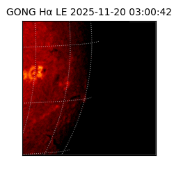 gong - 2025-11-20T03:00:42