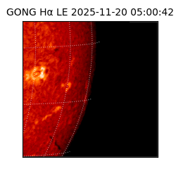gong - 2025-11-20T05:00:42
