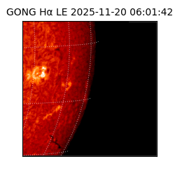 gong - 2025-11-20T06:01:42