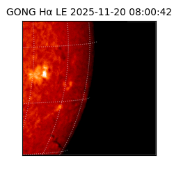 gong - 2025-11-20T08:00:42