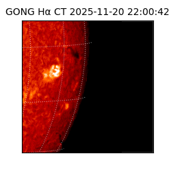 gong - 2025-11-20T22:00:42