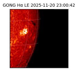 gong - 2025-11-20T23:00:42