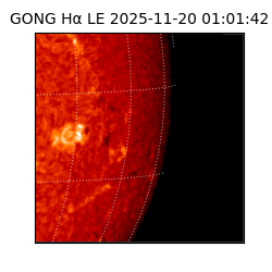 gong - 2025-11-20T01:01:42