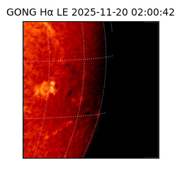 gong - 2025-11-20T02:00:42