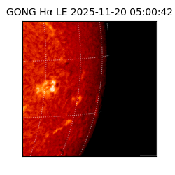 gong - 2025-11-20T05:00:42