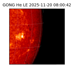 gong - 2025-11-20T08:00:42