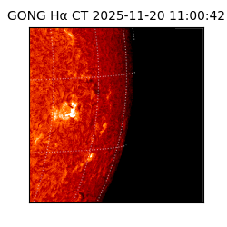 gong - 2025-11-20T11:00:42
