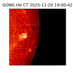 gong - 2025-11-20T19:00:42