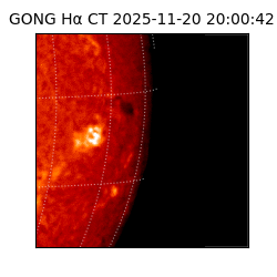 gong - 2025-11-20T20:00:42