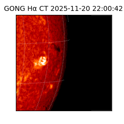 gong - 2025-11-20T22:00:42