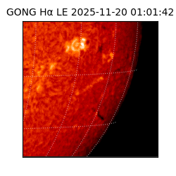 gong - 2025-11-20T01:01:42