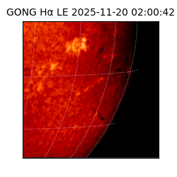 gong - 2025-11-20T02:00:42