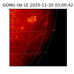 gong - 2025-11-20T03:00:42