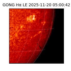 gong - 2025-11-20T05:00:42
