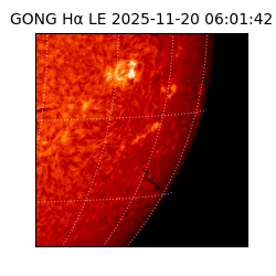 gong - 2025-11-20T06:01:42