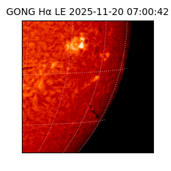 gong - 2025-11-20T07:00:42