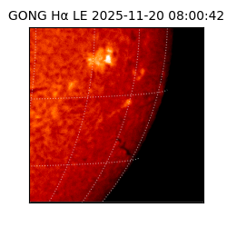 gong - 2025-11-20T08:00:42