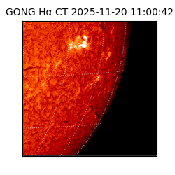 gong - 2025-11-20T11:00:42