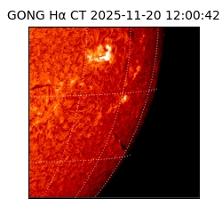 gong - 2025-11-20T12:00:42