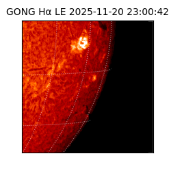 gong - 2025-11-20T23:00:42