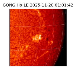 gong - 2025-11-20T01:01:42