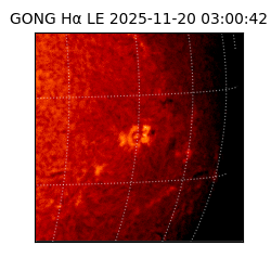 gong - 2025-11-20T03:00:42