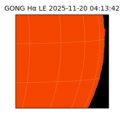 gong - 2025-11-20T04:13:42