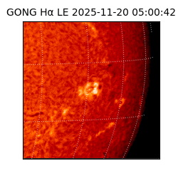 gong - 2025-11-20T05:00:42