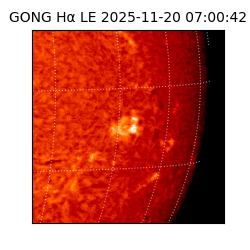 gong - 2025-11-20T07:00:42