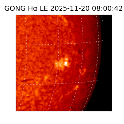 gong - 2025-11-20T08:00:42