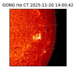 gong - 2025-11-20T14:00:42