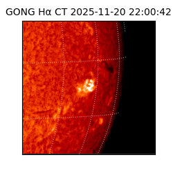 gong - 2025-11-20T22:00:42